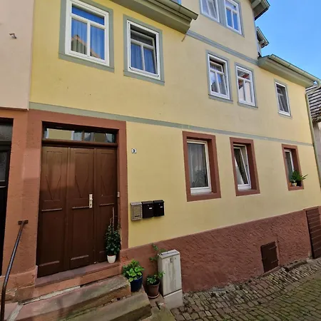 9ter Riese Dachgeschoss-fewo Мильтенберг